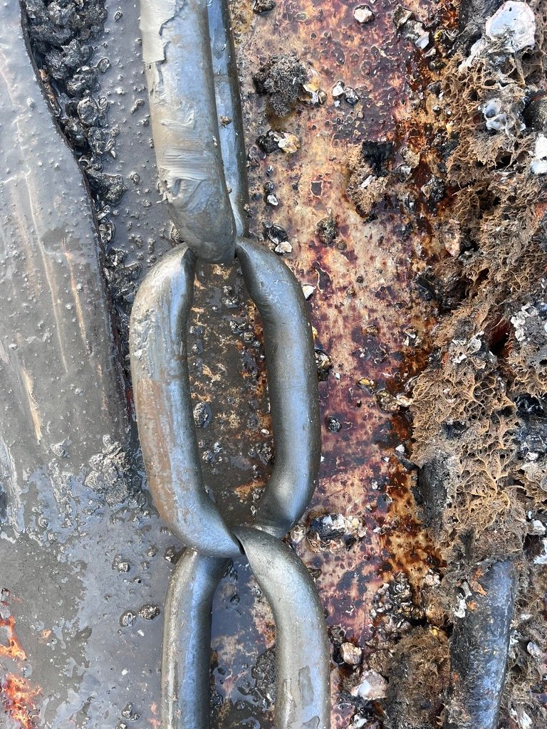 Close-up of worn steel chain links with rust and marine growth found during a mooring inspection